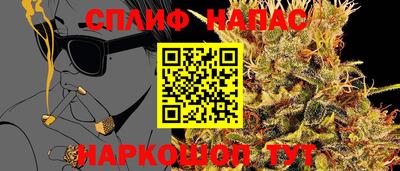гидра Славянск-на-Кубани