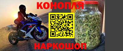 молекула духа Славгород